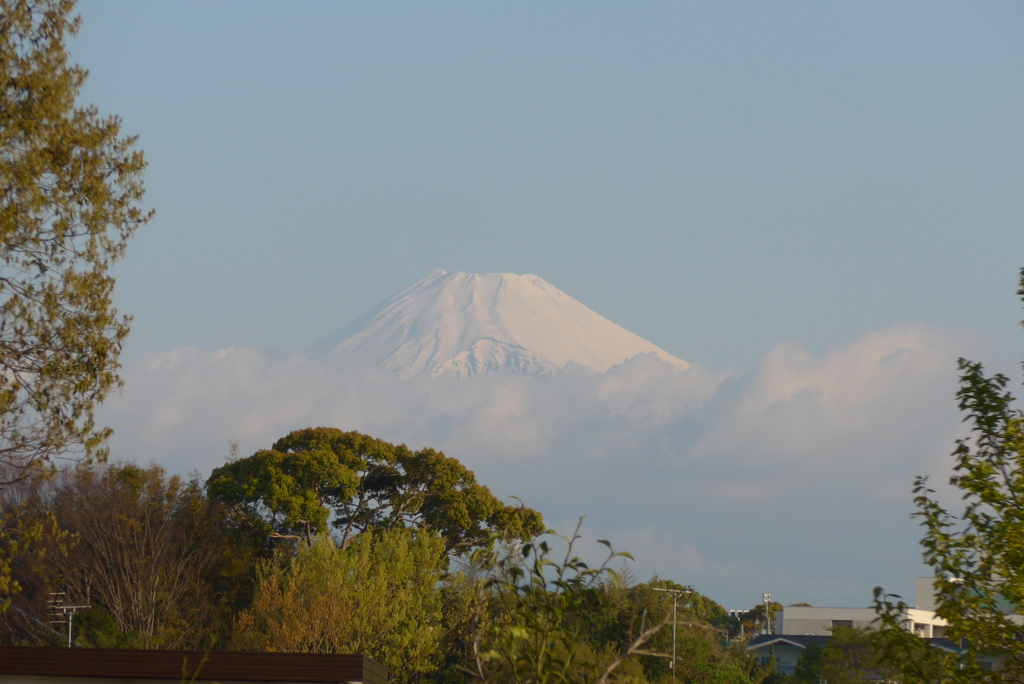 P1210702　4月10日 今朝の富士山