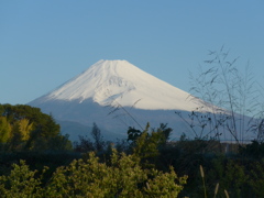 P1120105　10月21日 朝の富士山