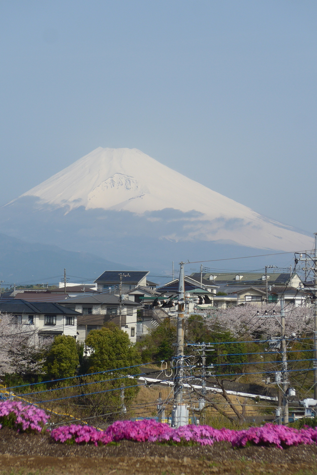 P1380079　4月8日 今朝の富士山