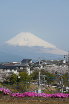 P1380079　4月8日 今朝の富士山