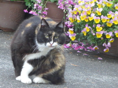P1150024　また会ったね♪