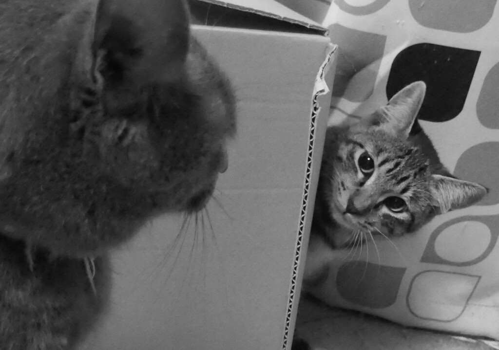 P1080814 (3)　あのね～♪