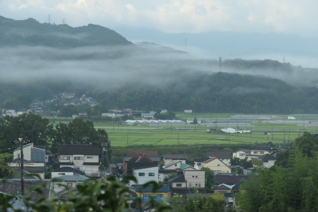 P1069147　雨上がりの里