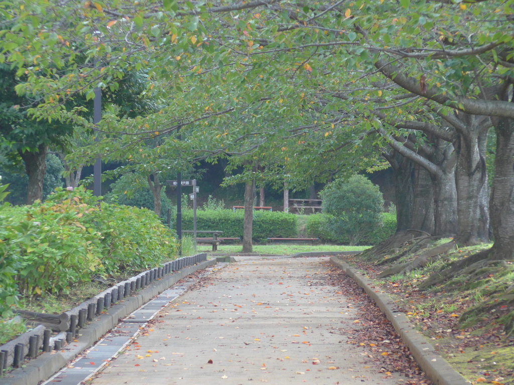 公園