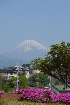 4月15日 今朝の富士山