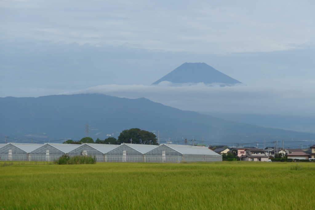 P1180149　9月22日 今朝の富士山