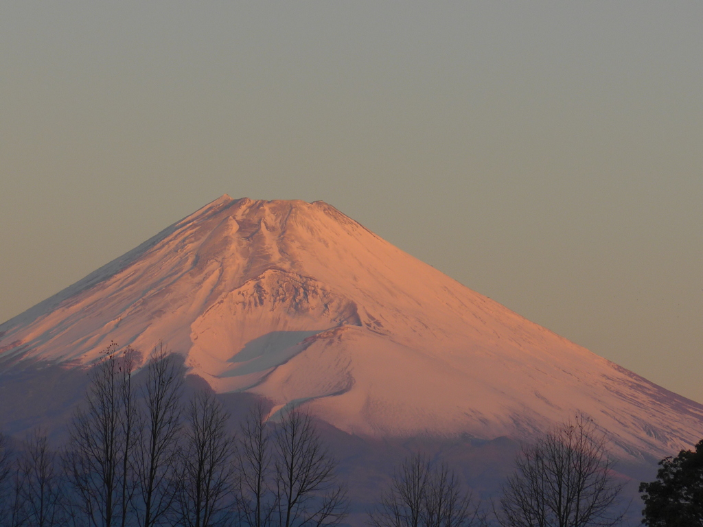 11月25日　朝の富士山