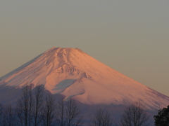 11月25日　朝の富士山