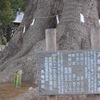 P1130189　大きな楠