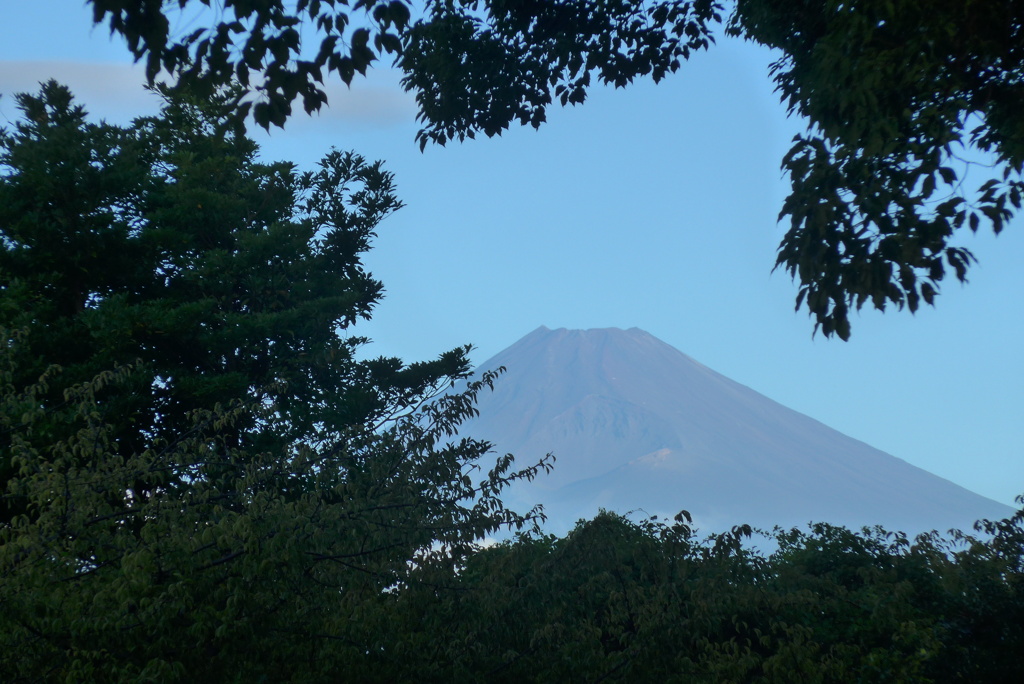 P1170966　9月8日 今朝の富士山