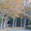 P1370152　晩秋の公園
