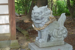 P1220781　小さな神社の狛犬さん