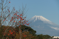 P1034796　12月10日 今朝の富士山