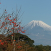 P1034796　12月10日 今朝の富士山