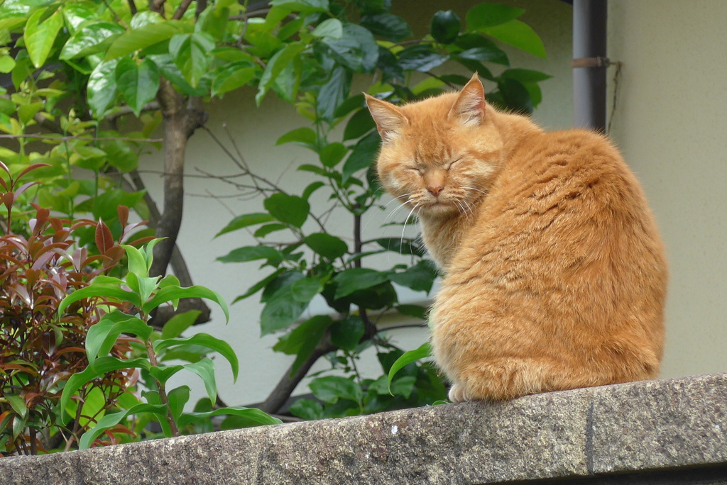 P1270165　おはよう～♪