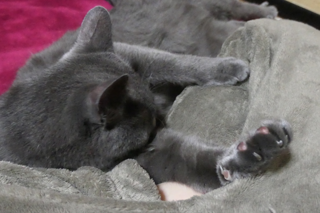 P1057181　さびしかった…