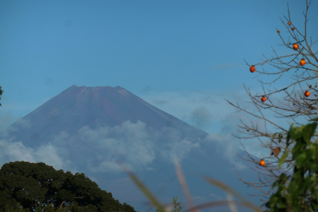 P1069519_edited　11月9日 今朝の富士山