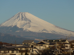 P1070167　１月26日 今朝の富士山