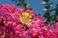 P1022713　いつもの公園で