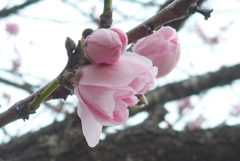 P1140314　これから…♪