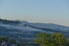 P1150008　ある雨上がりの朝