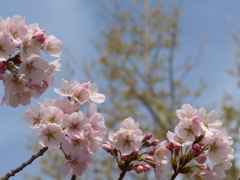 P1080004　あのね♪