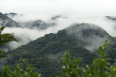 P1034570　雨上がり