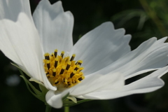 P1069294