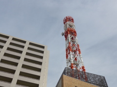 赤と白の塔