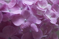 R0351370　なごり…