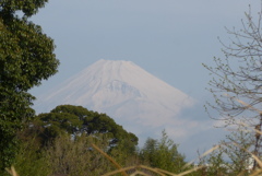 P1370914　3月30日 今朝の富士山