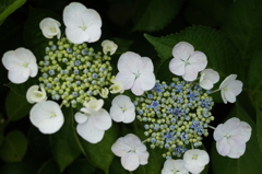 R0353203　素敵なかたち