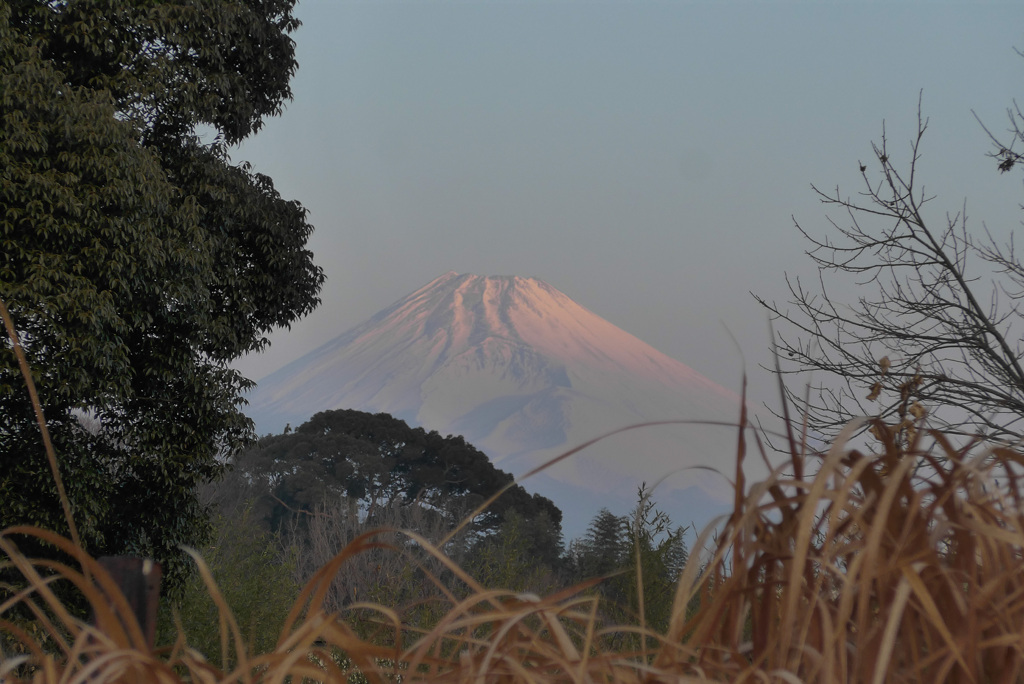 P1370304_edited　1月24日 今朝の富士山