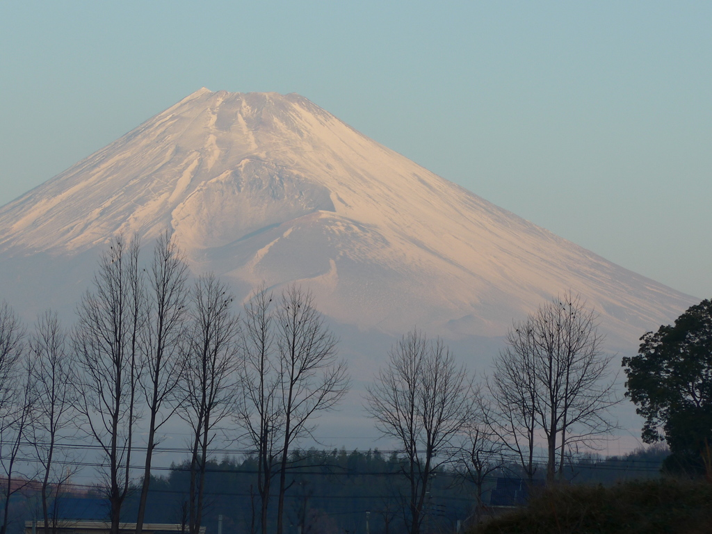 元旦の富士山