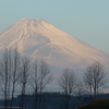 元旦の富士山