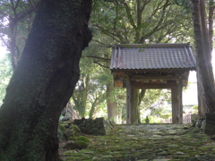 高源寺四脚門