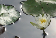 P1300907　いつもの公園で