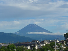 P1100332　6月19日 朝の富士山