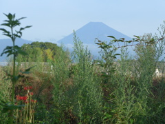 P1110409　9月13日 朝の富士山