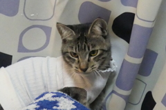 P1080886　新しい家族