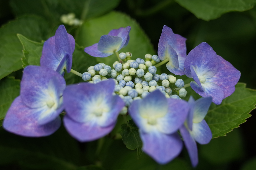 R0353208　爽やか～♪