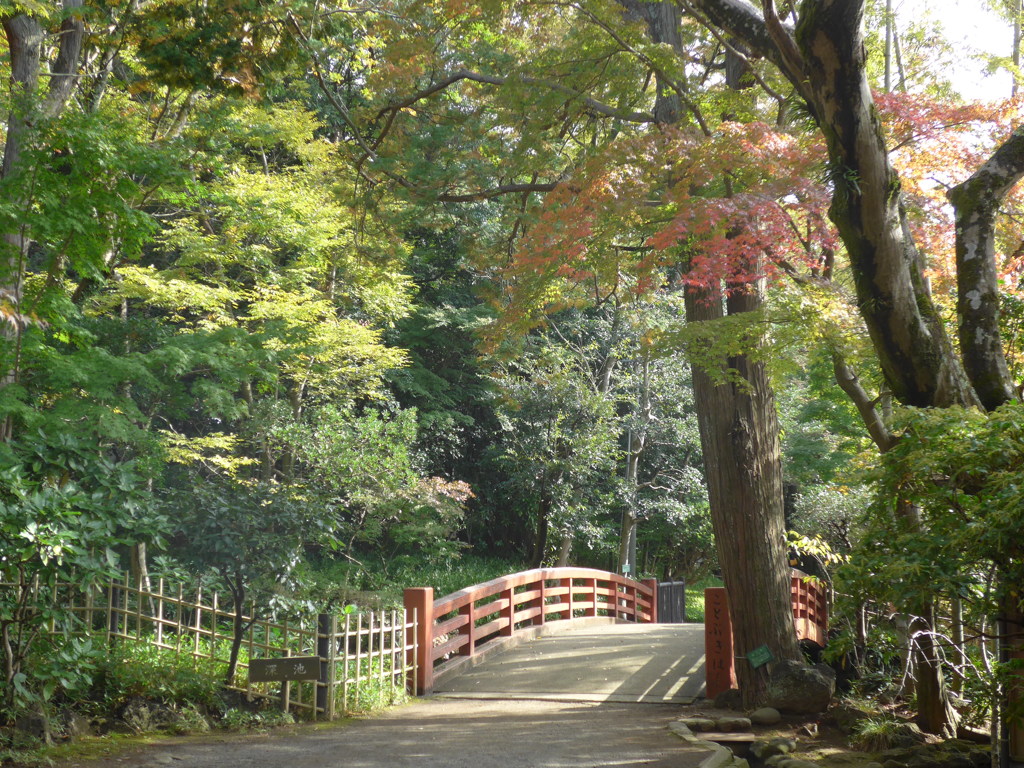 三島市楽寿園にて