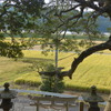 P1120063　神社から
