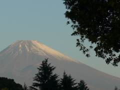 今朝の富士山