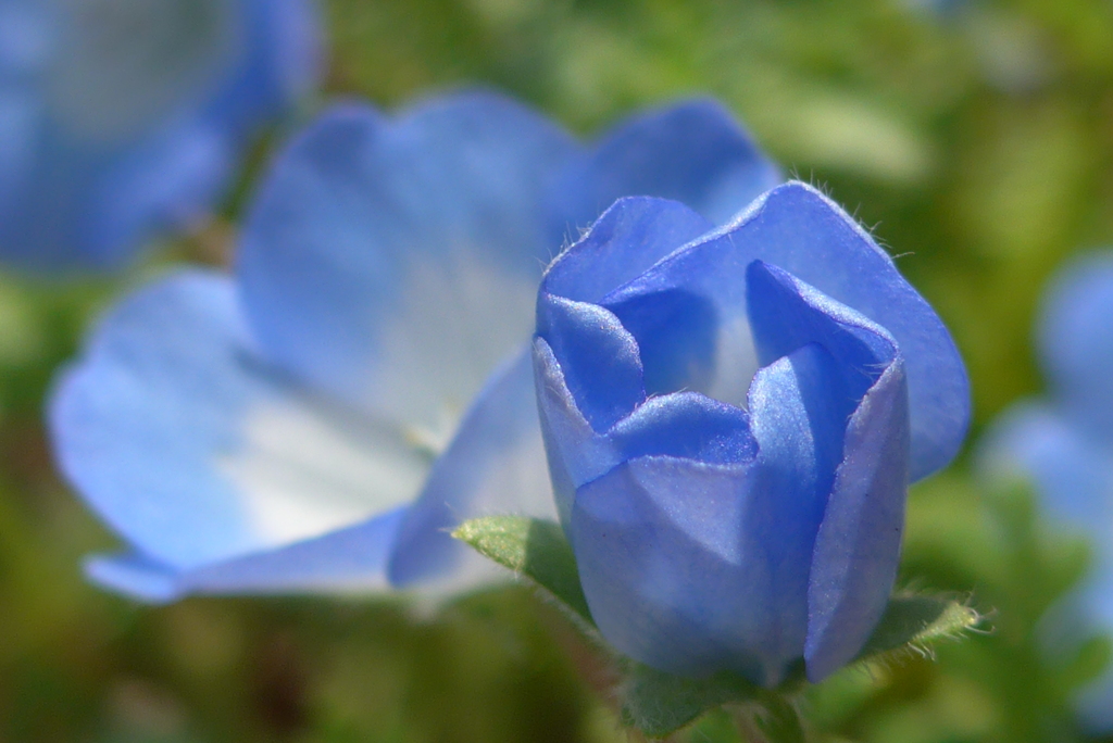 P1260472　希望の時