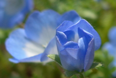 P1260472　希望の時