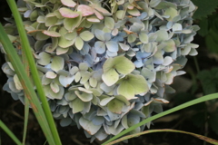 P1069015　終わりの時