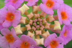 P1012577