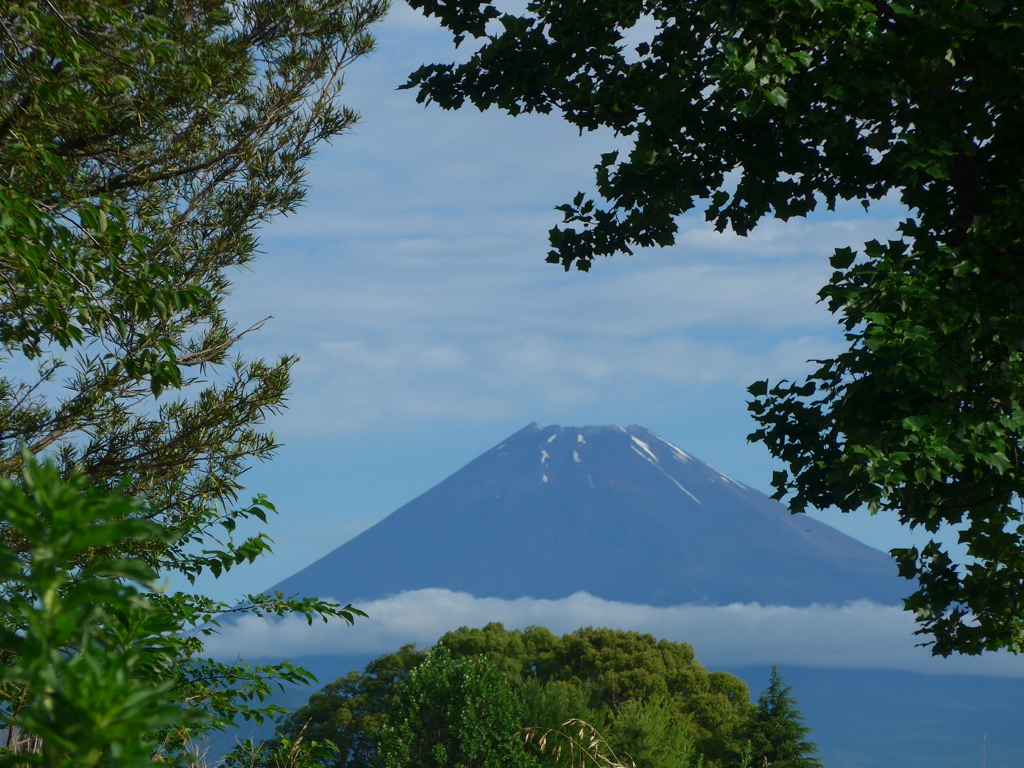 P1100343　6月19日 朝の富士山