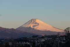 P1250902　2月9日 今朝の富士山